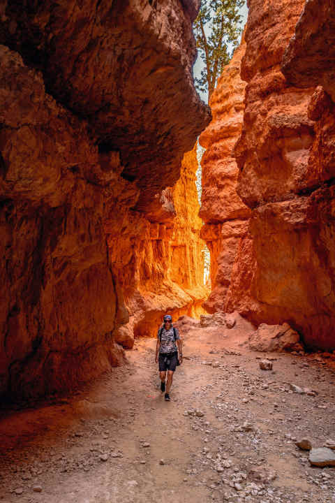 Wanderschuhe sollten auf der Bikepacking-Tour durch die Nationalparks in Utah unbedingt ins Gepäck.