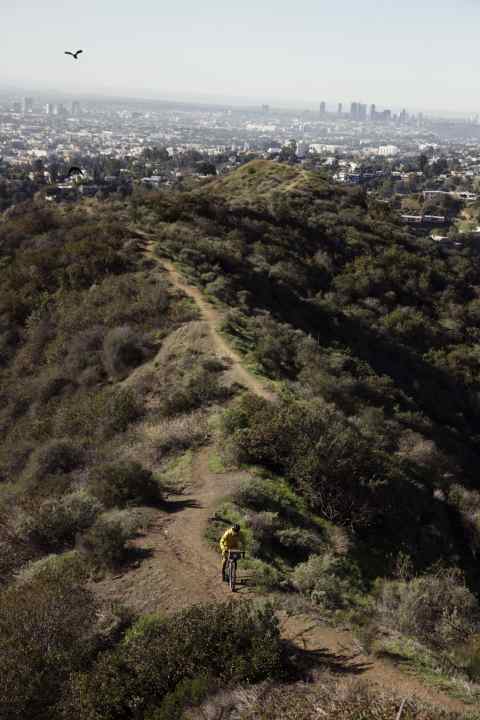 Natur und Großstadtdschungel in direkter Nachbarschaft
