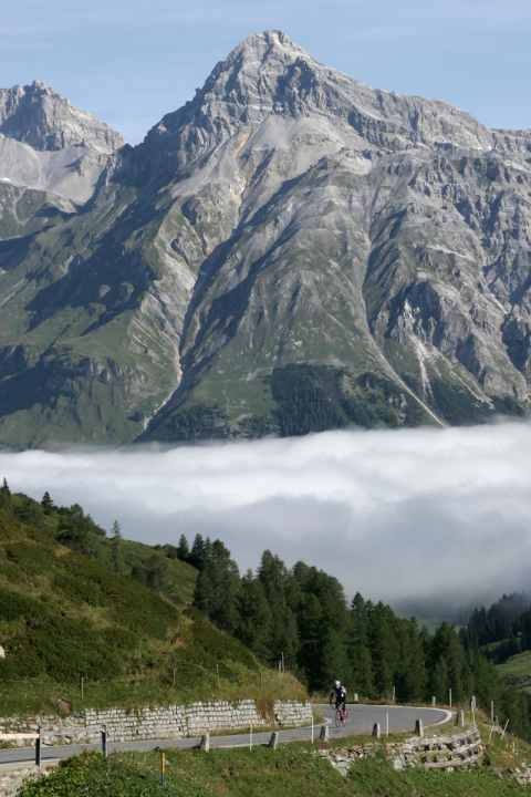   North ramp: Rhine forest in the fog, Alperschällihorn behind you 