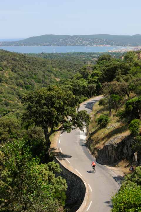   In the curves of the Massif des Maures, you have no idea of the hustle and bustle in the bay of Saint-Tropez 