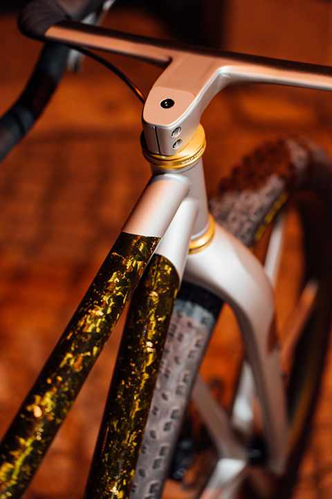 Le carbone forgé à l'effet marbré doré est l'œuvre d'un artiste de Chemnitz et convient parfaitement au showbike 32 pouces de Maxxis et Bike Ahead.
