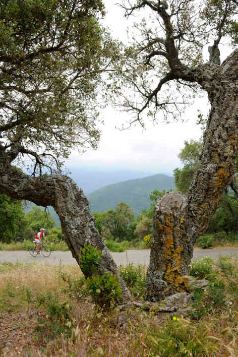   Die Hügel im Hinterland der Côte d’Azur erforden einige Kletterqualitäten 