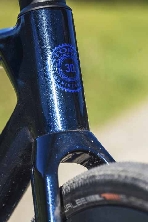 Anpassungsfähig - Rahmen und Gabel erlauben mit kleineren Laufrädern auch ­extrem breite Reifen