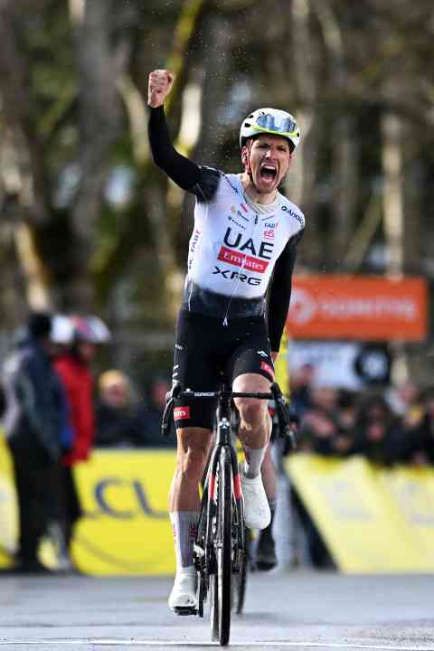 Der Edelhelfer des Kapitäns