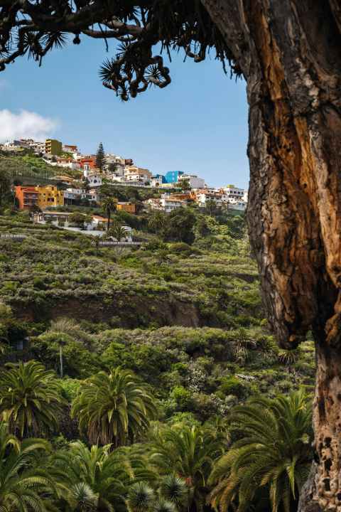 Icod de los Vinos ist der Startort für die Touren 3 und 4.