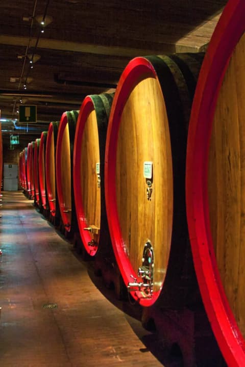 Maturation en fûts de chêne : Distillerie Braulio