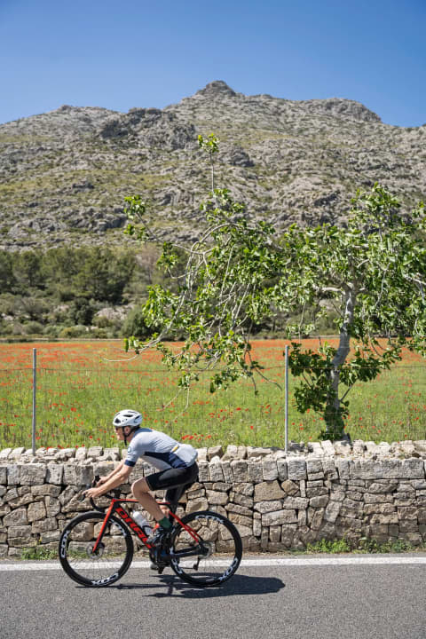 Small art: Mallorcan triad: mountains, meadows, dry stone walls.