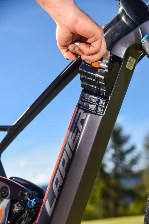   The Snake battery can be removed from the down tube, but can also be charged when installed.
