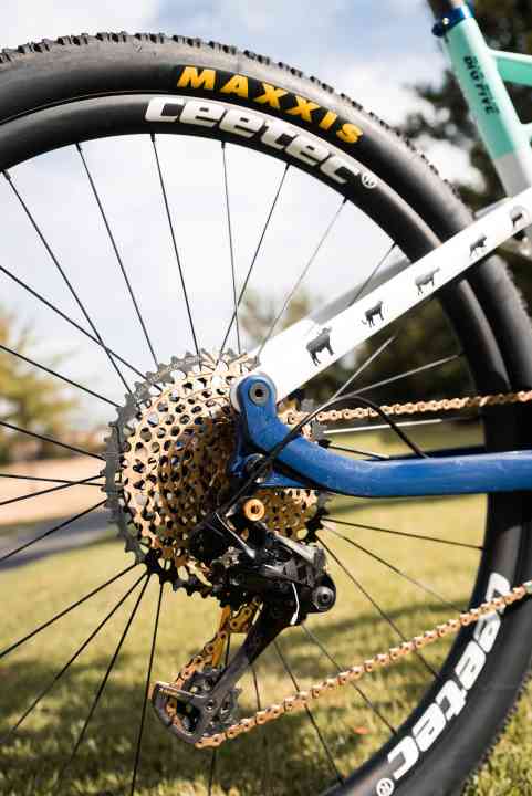   A highlight on the bike: the wide and light rims with an inner width of 27 millimetres from Ceetec with DT Swiss 240 S Straightpull hubs.
