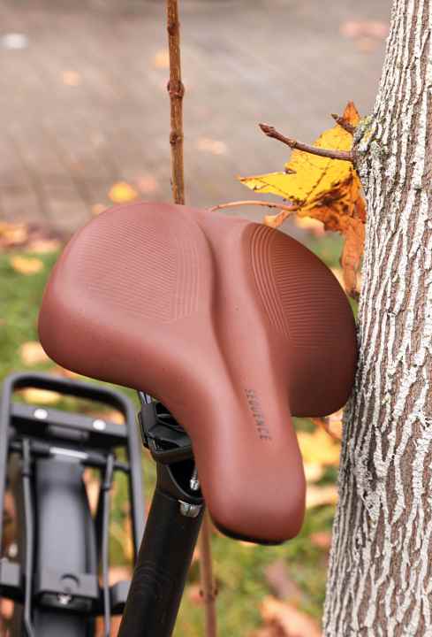 Saddle and seat post