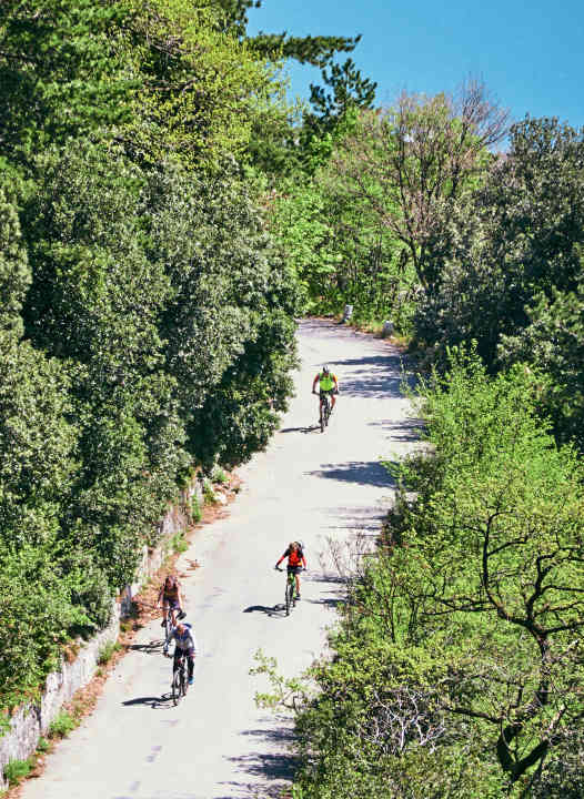 For the sporty: Mountain bikers on a path near Torbole in the north.