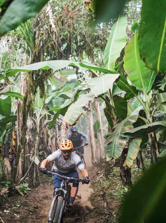 Ecuador's diversity: The descent from the high alpine Chimborazo ends in banana plantations.
