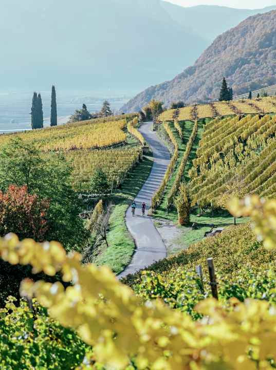 South Tyrol is home to some of the most beautiful wine regions in the world - ideal for cyclists.