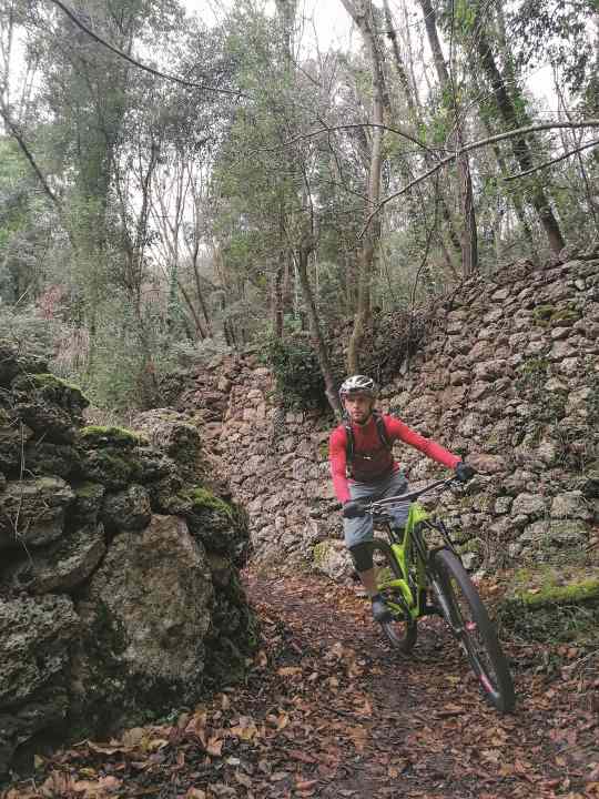 Clemens Riese spends two hours a day travelling through the Odenwald and the Palatinate Forest. This consistency makes him a real frequent traveller.