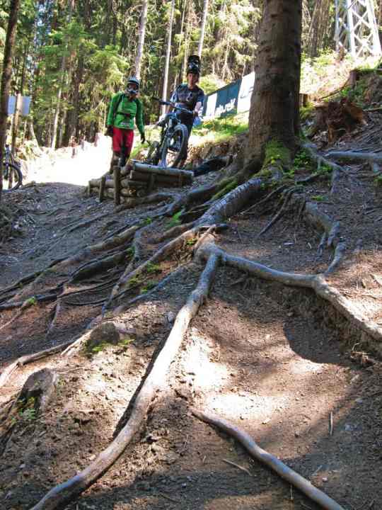   Visual deterrent: jump with landing in the root carpet. Bold downhillers may like this, but the masses of bikers are put off (Schladming).