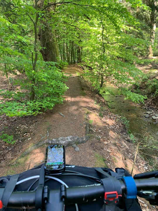 Der Hasselbachgraben-Trail: Fast sechs Kilometer lang, flüssig zu fahren und landschaftlich erste Sahne.