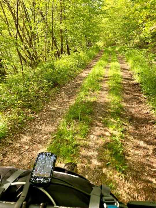 The <a href="https://www.facebook.com/Nationalpark.Eifel/" target="_blank" rel="noopener noreferrer nofollow">Eifel National Park</a> gave me the most vertical metres of the day, with the climbs at the back just scraping the 100-metre mark.