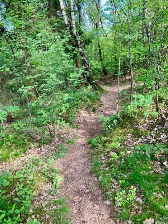 Der Biker-Spielplatz oberhalb von Waldbröl.