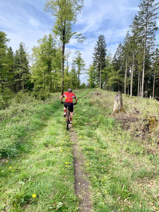 Am Hohen Knochen: Einer der Trails, die ich ohne Andre nicht gefunden hätte.