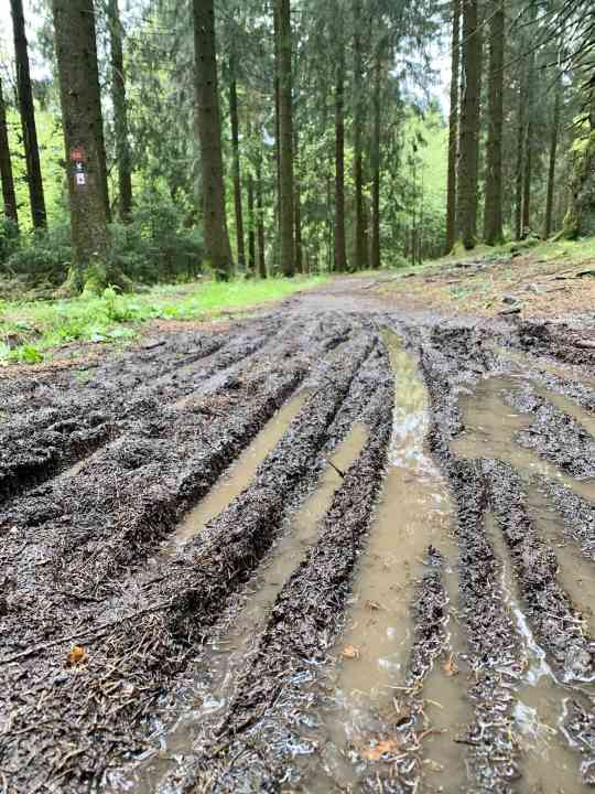Feuchte Angelegenheit: So sahen die Trails teilweise aus, die Waschmaschine freut sich.