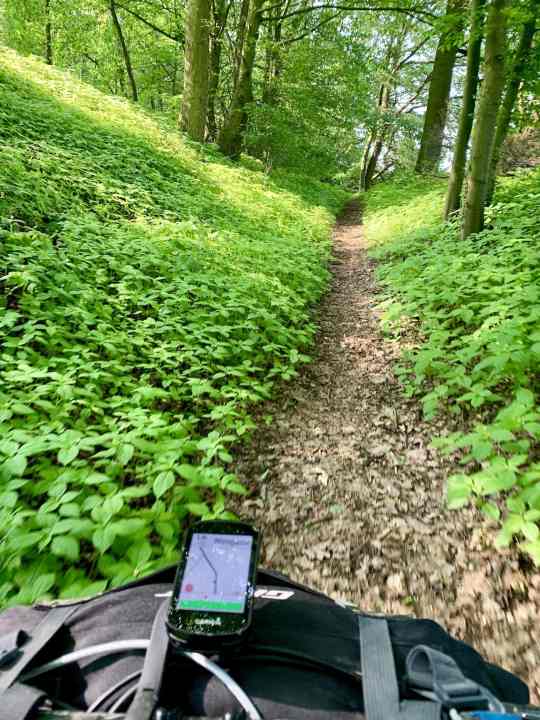 Der Nordtrail am Rödelberg versüßte uns die ersten 1,5 Stunden auf dem Weg nach Bad Orb.