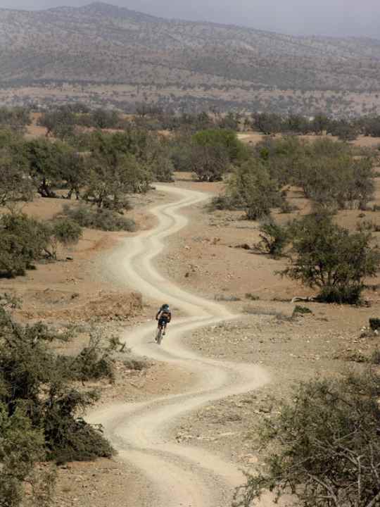   When the desert is in bloom, it rains. In winter, you are better off travelling to the south of the Atlas Mountains.