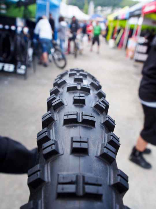   WTB Vigilante: quite heavy enduro/freeride tyre for harder riding.