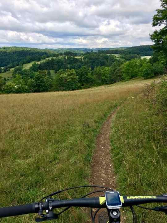   One of many paths today - behind Schönhofen.