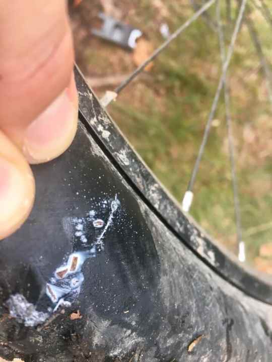   Auf dem Weg zum Schneeberg (Fichtelgebirge) hat's mich erwischt. Ein spitzer Stein hat mir die Seitenwand aufgeschlitzt. Mit einem Schlauch war aber schnell wieder alles ok.