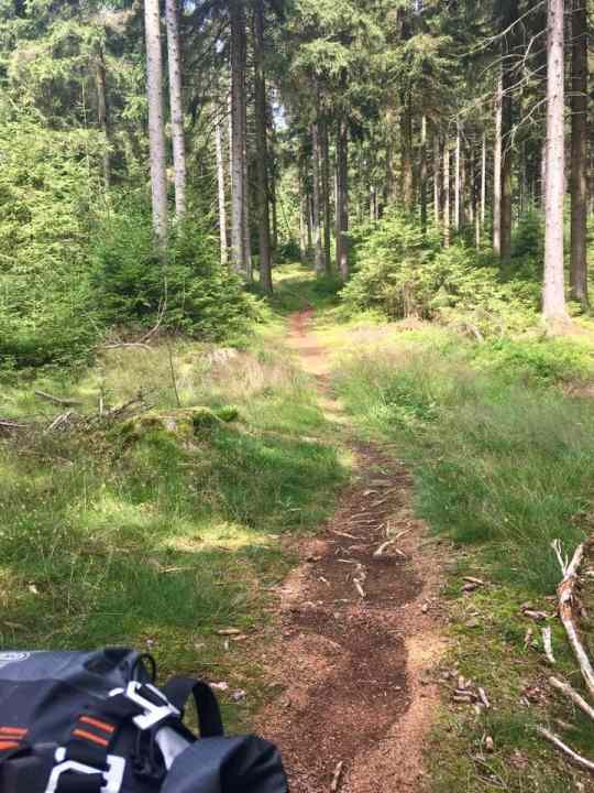   The forest trails on the Großer and Kleiner Waldstein are some of the best you can ride in the #Fichtelgebirge.