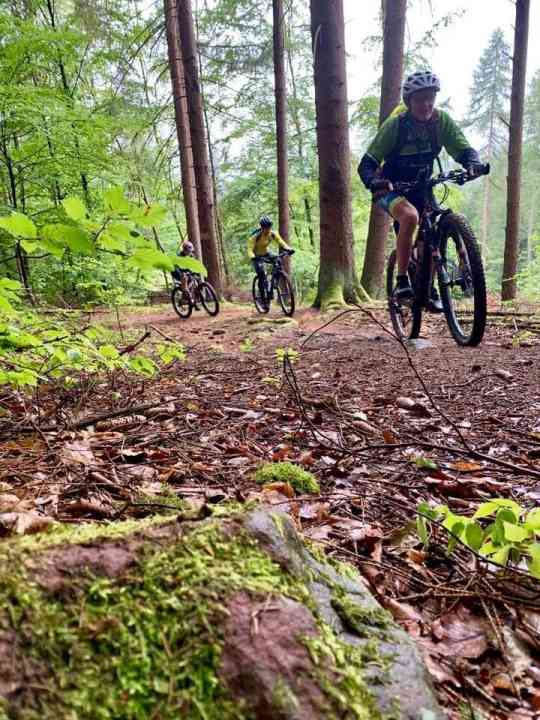 The long uphill behind Partenstein to the Sohlhöhe - a crisp and steep trail in the middle section.