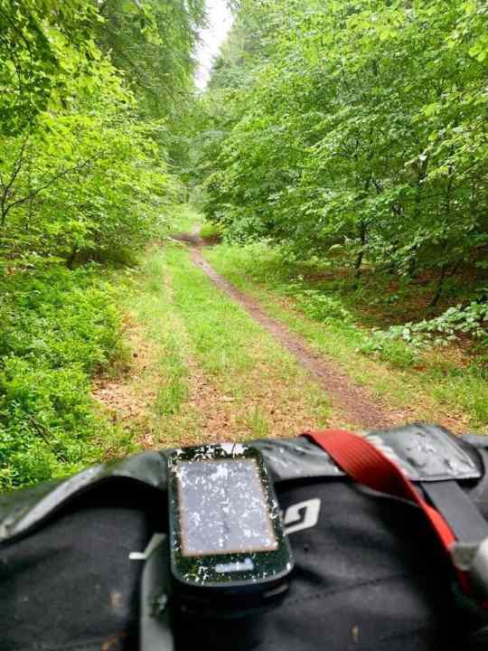 Über typische Spessart-Pfade ging‘s bei Nieselregen in Bad Orb los.