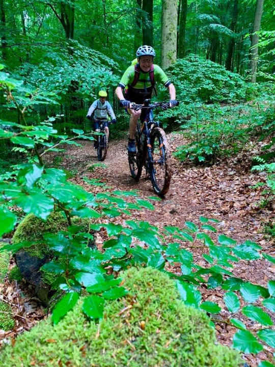 Narrow paths through deciduous forest - typical Spessart.