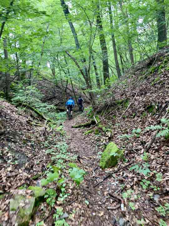 Right after the start in Zeil, we headed up to the Zeiler Käppele.