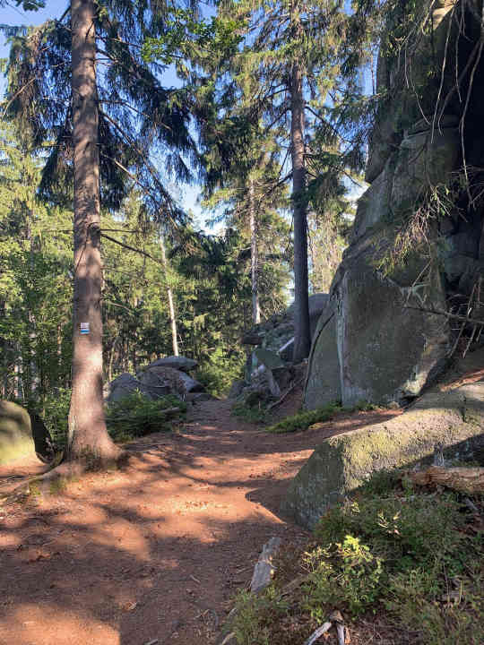 Das Trail-Highlight des Tages: der Püttner-Trail von der Kösseine runter.