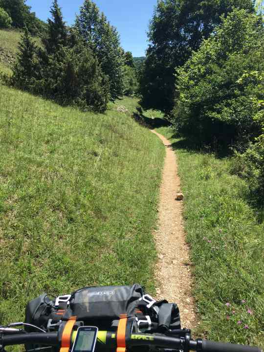   One of thousands of single trails in Bavaria's low mountain ranges: According to the new administrative regulation to the Bavarian Nature Conservation Act, such trails can be closed to bikers, for example "if one of the trail users has to leave the trail in the event of an encounter".