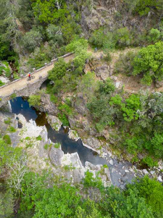 Ancient stone bridge over the Chassezac - and nobody on the road for miles around.