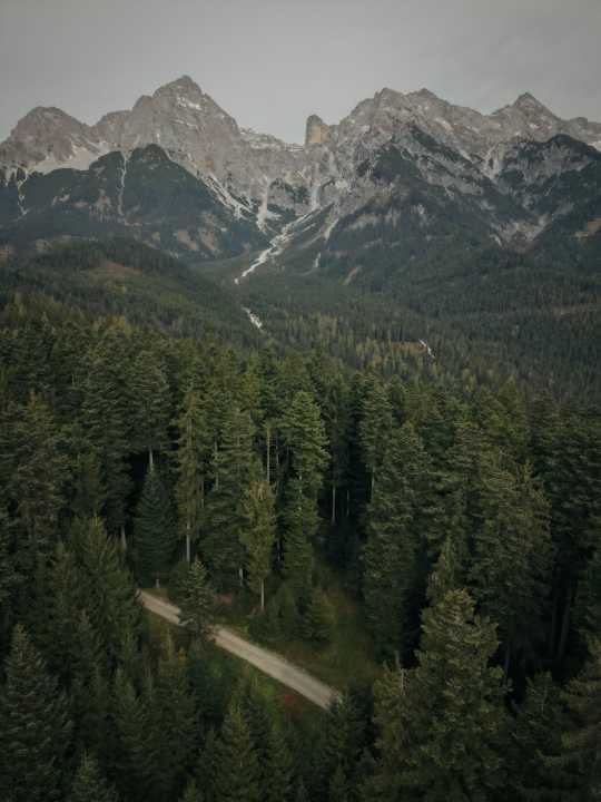The mountain forests around Saalfelden and Leogang hide some beautiful gravel tracks.