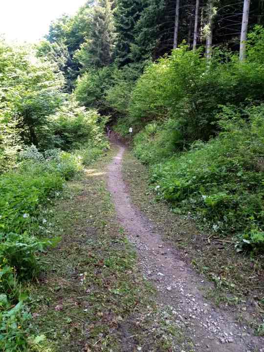 Bevor sich die Natur die Trails am Gardasee vollends zurückholen, mähen die Garda Rangers diese routinemäßig frei.
