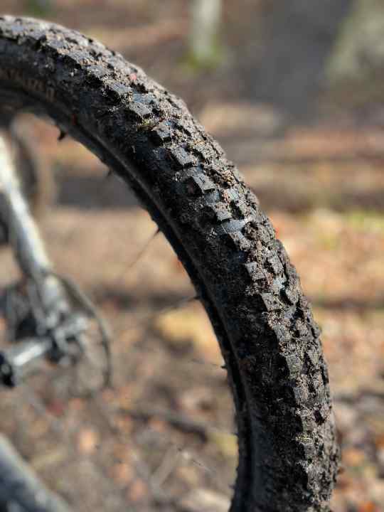 Der Butcher Grid Trail in der weicheren T9 Mischung überzeugte fast in jedem Terrain als Vorderreifen, nur bei Matsch setzte sich der Reifen im Nu zu und geizte mit Traktion.