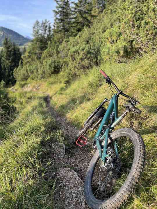 Trails in den Bayerischen Voralpen: Hier fühlt sich das Specialized Levo SL pudelwohl.