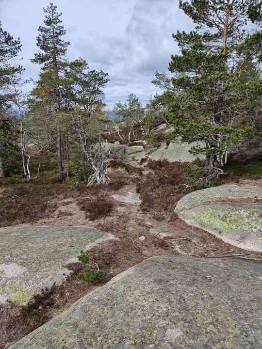 There is a trail, you just have to know it. Just like our guides Tarja and Jan.