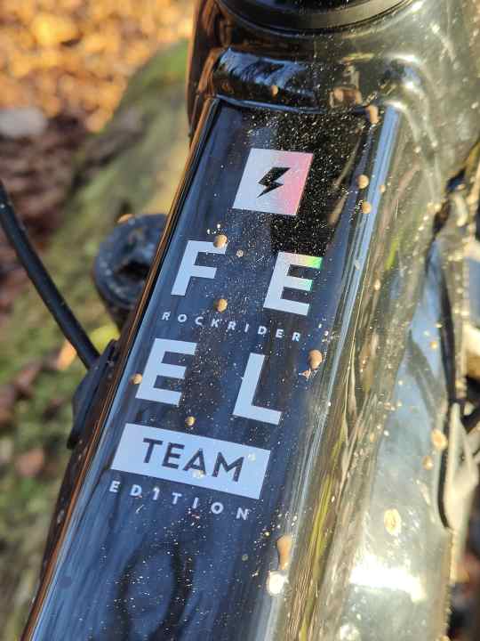 Yes, you can also get the Team Edition dirty.