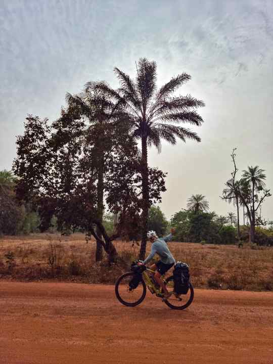 Wiebke saw wild chimpanzees for the first time in Guinea-Bissau.
