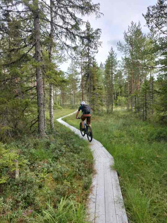Narrow trails through the Scandinavian hinterland: The Specialized Epic is not only capable of serious racing, but also of touring at holiday pace.