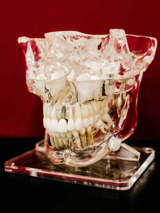 The human dentition is a complex system in which a variety of problems can occur.