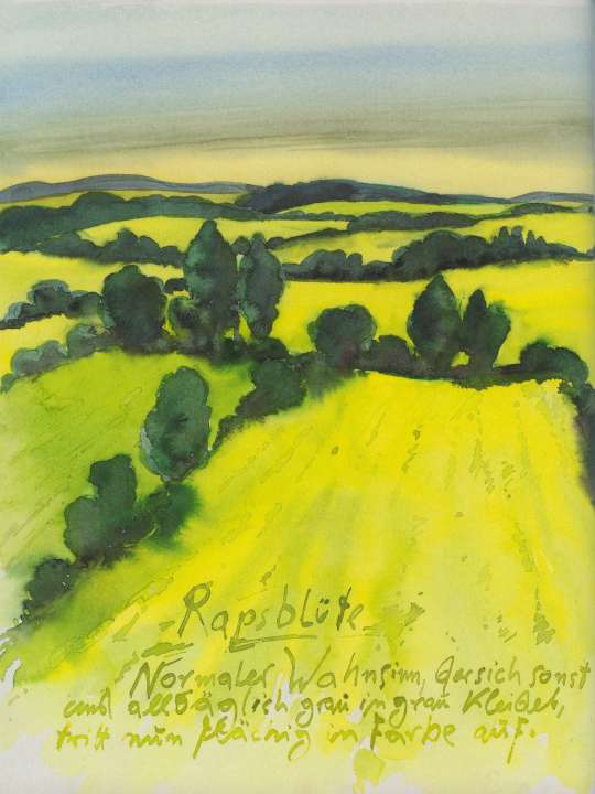 Aquarell Rapsblüte