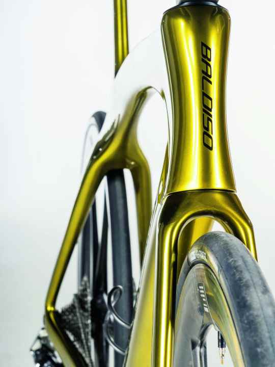 German design: Two German manufacturers, bicycle manufacturer Baldiso and carbon fibre specialist Carbonworks, have joined forces for the One.