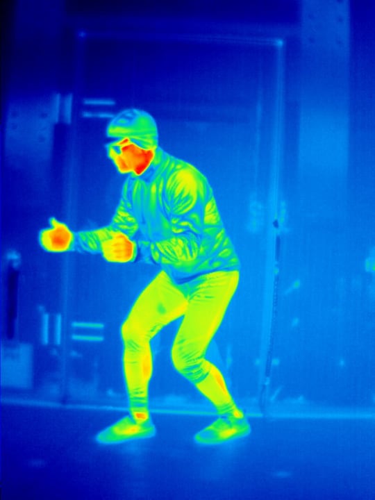 Spoonbill