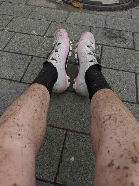 Mit Wasser und Bürste ließ sich der Dreck leicht wieder entfernen.